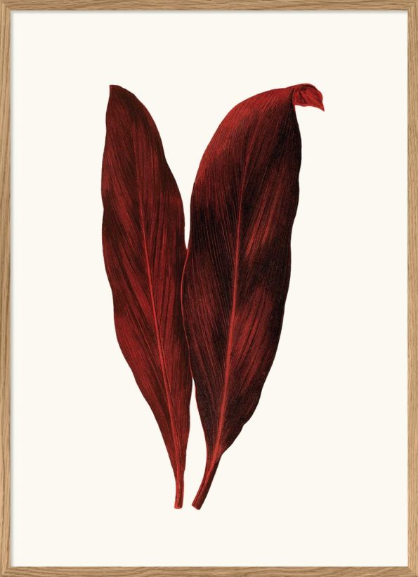 Red Leaves Print 50x70cm